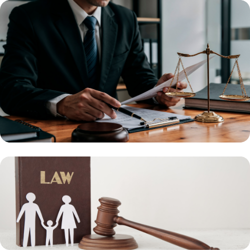 Family Law Translation Services