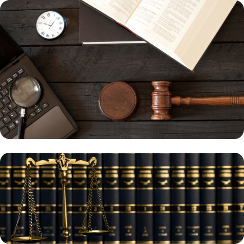Immigration Law Translation Services