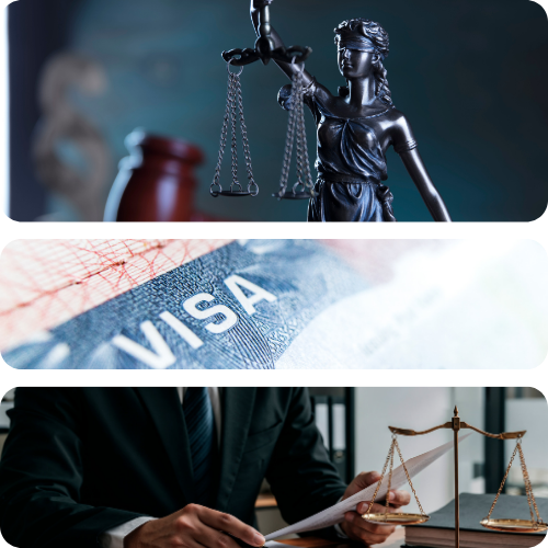 Immigration Law Translation